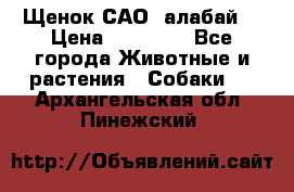 Щенок САО (алабай) › Цена ­ 10 000 - Все города Животные и растения » Собаки   . Архангельская обл.,Пинежский 